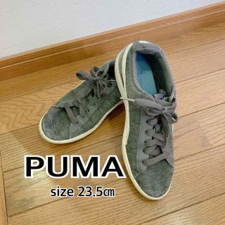 プーマ(PUMA)のPUMA プーマ　スニーカー　23.5㎝　グレー(スニーカー)