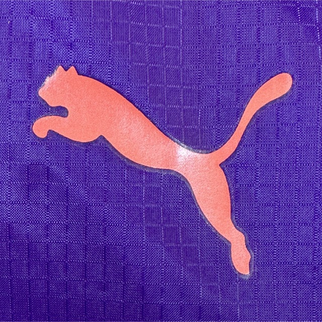 PUMA(プーマ)のPUMA 美色 ナイロンリップストップ ウィンドブレーカー マウンテンパーカー メンズのジャケット/アウター(マウンテンパーカー)の商品写真