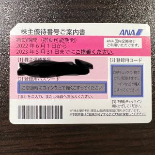 エーエヌエー(ゼンニッポンクウユ)(ANA(全日本空輸))のANA株主優待券　2023年5月31日まで(その他)