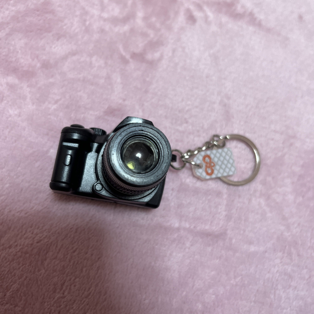 嵐(アラシ)の浅田家!カメラストラップ ハンドメイドのアクセサリー(キーホルダー/ストラップ)の商品写真