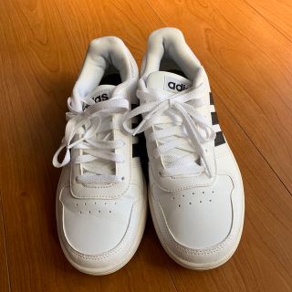 アディダス(adidas)のadidas スニーカー 24.5cm(スニーカー)