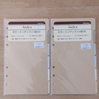 イルビゾンテ(IL BISONTE)のdavinci バイブルサイズ　聖書サイズ　カラーインデックス　6区分　2袋(手帳)