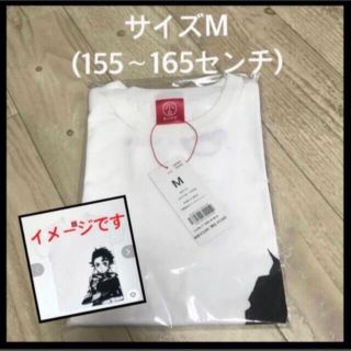 オジコ(OJICO)のサイズM(155〜165センチ) Tシャツ(Tシャツ/カットソー)