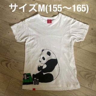 オジコ(OJICO)のサイズM(155〜165センチ) Tシャツ(Tシャツ/カットソー)