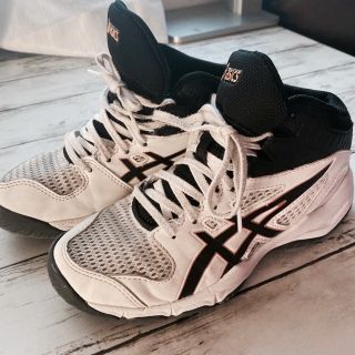 アシックス(asics)のアシックス asics バッシュ バスケットシューズ(スニーカー)