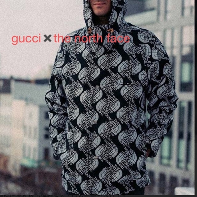 GUCCI x THE NORTH FACE コラボ パーカー