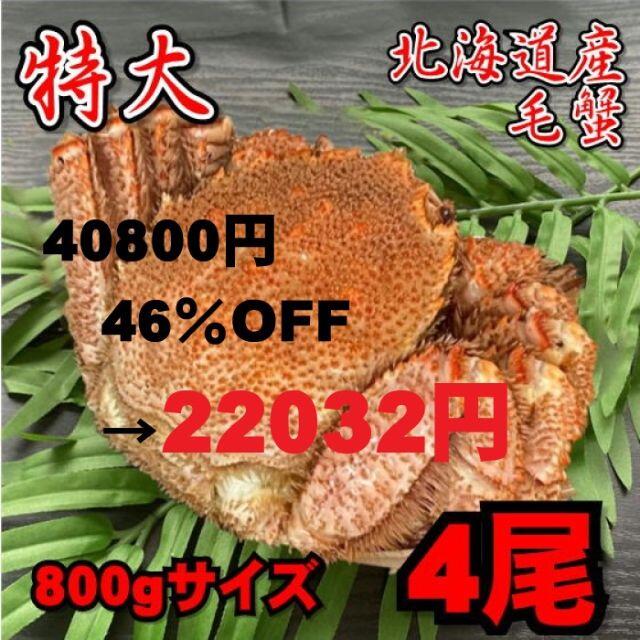 魚介類【特大】毛蟹　4尾（800ｇサイズ）　北海道産　ボイル　付け足　冷凍　お中元