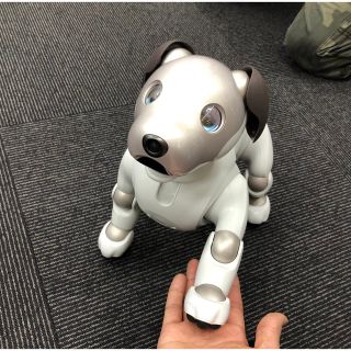 ソニー(SONY)のSony aibo ERS-1000 完動品 aiboと楽しい時間が過ごせます。(その他)