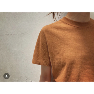 ファビアンルー(Fabiane Roux)のNOWOS  crew neck T-shirt   ブラウン(Tシャツ/カットソー(半袖/袖なし))