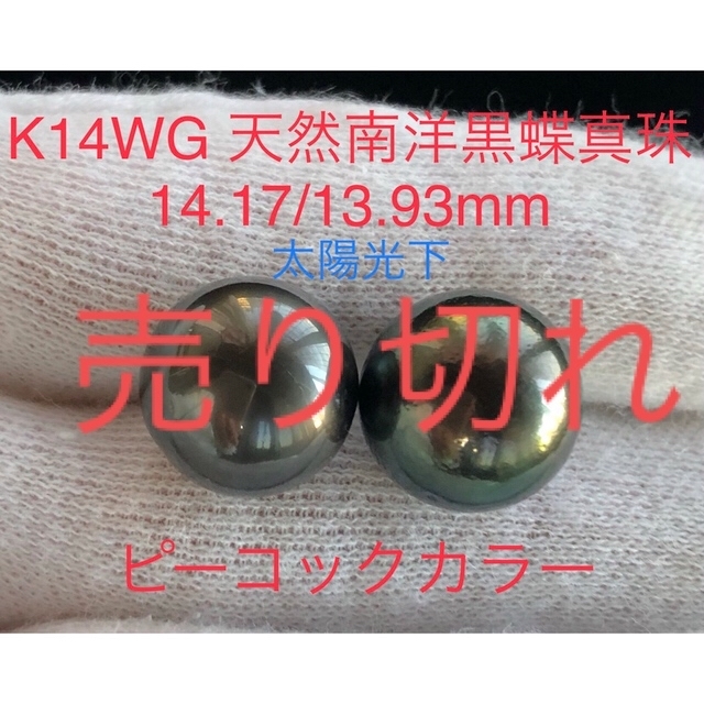 ピアスK14WG 天然南洋黒蝶真珠ピアス　ピーコック系　14.17/13.93mm