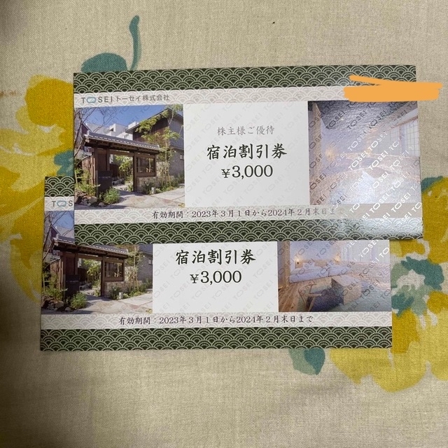 春色3カラー✧ トーセイ 株主優待券 2枚 6000円分 - 通販 - www