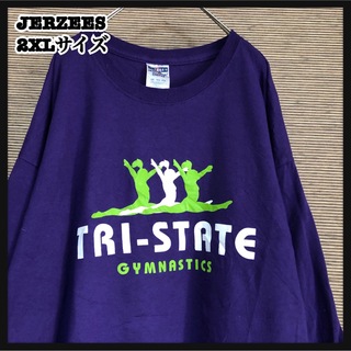 ジャージーズ(JERZEES)の【ジャージーズ】長袖Tシャツ　ロンT　ダンス　バレー　紫　デカプリント14(Tシャツ/カットソー(七分/長袖))