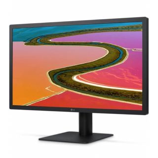 アップル(Apple)のLG ultra Fine 4k for Mac 21.5インチ Apple純正(ディスプレイ)