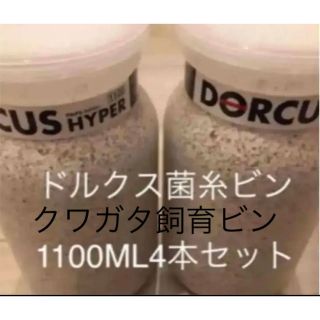 クワガタ菌糸ビン1100ML 4本セット　ドルクスハイパー菌糸　クワガタ幼虫飼育(虫類)