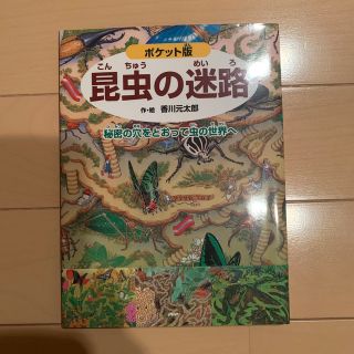 昆虫の迷路 秘密の穴をとおって虫の世界へ ポケット版(絵本/児童書)