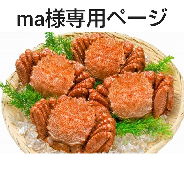 ma様専用ページです。 食品/飲料/酒 魚介 お礼や感謝伝えるプチギフト