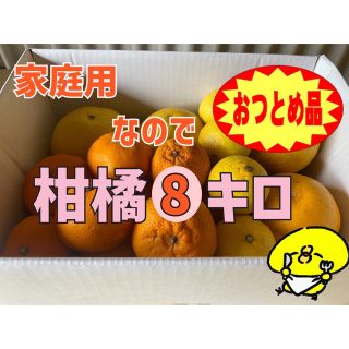 ▲本州、四国、九州のみ発送可▲『おつとめ品-愛媛産-柑橘8キロ詰め合わせ』　(フルーツ)