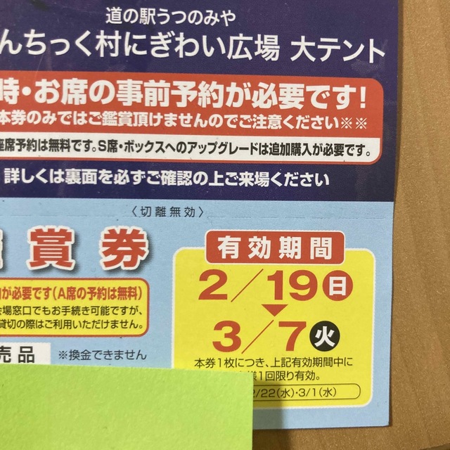 ポップサーカスA席無料券　大人 チケットの演劇/芸能(サーカス)の商品写真