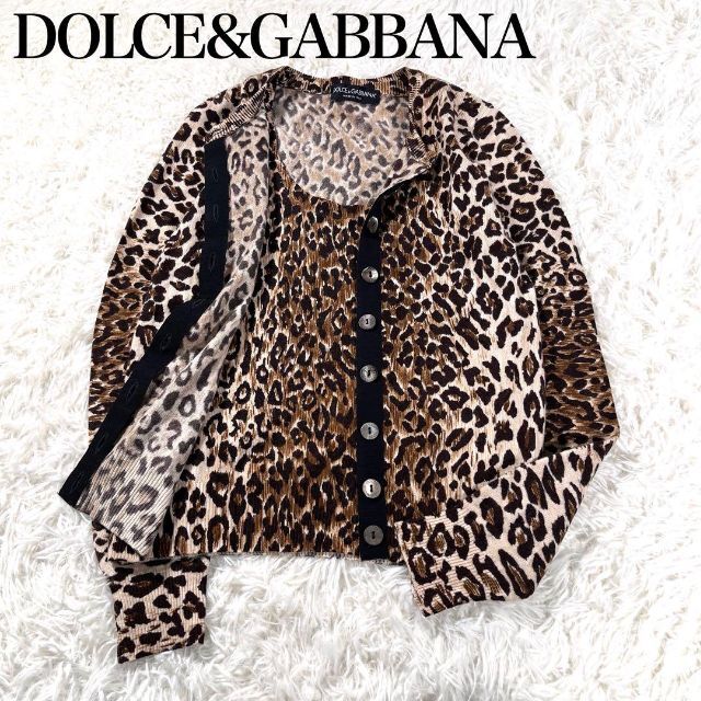 極美品】ドルチェアンドガッバーナ レオパード柄カシミヤアンサンブル