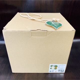 ジブリ(ジブリ)の《新品・未使用品》《希少レア》 ⭐︎ となりのトトロ 木立ちジブリプランター⭐︎(置物)