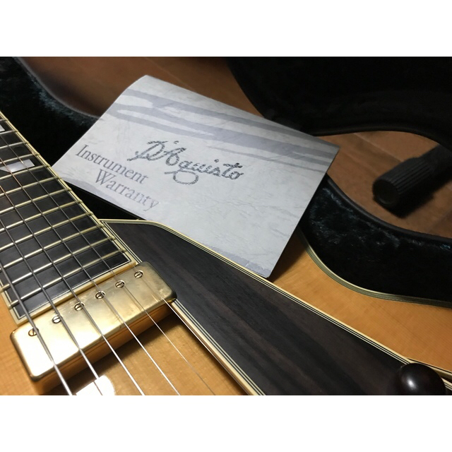 史上最も激安】 生産完了/新品同様+A】D'Aquisto DQ-NYE-New Yorker