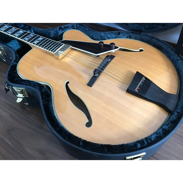 新品同様+A D'Aquisto DQ-NYE ダキスト 日本製 寺田 フルアコ 新品同様+A D'Aquisto DQ-NYE ダキスト 日本製 寺田 フルアコ