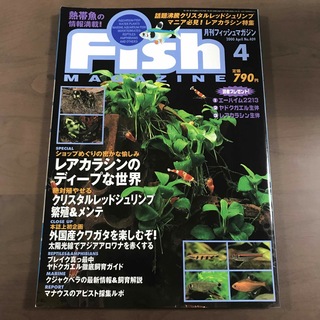 【雑誌】フィッシュマガジン fishmagazine 2000年4月 No409(趣味/スポーツ)