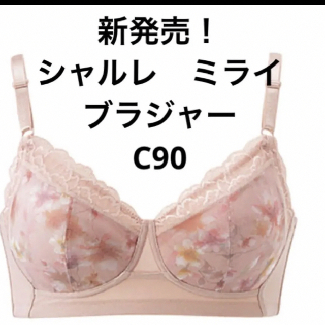 専用です 新発売 シャルレミライ ブラジャーG80 - 下着