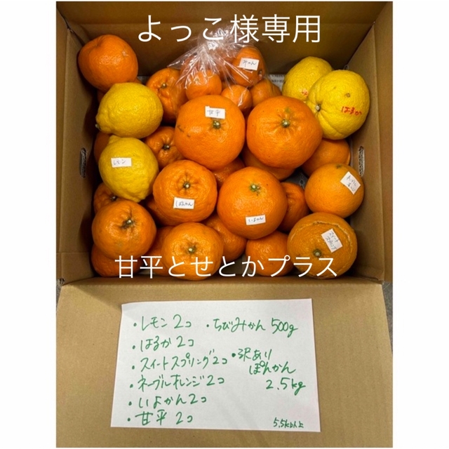 よっこ様専用　柑橘8種類　詰め合わせ 食品/飲料/酒の食品(フルーツ)の商品写真