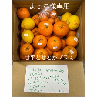よっこ様専用　柑橘8種類　詰め合わせ(フルーツ)