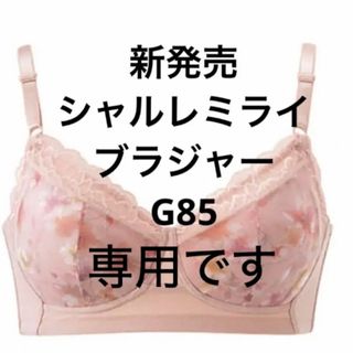 シャルレ(シャルレ)の新発売！シャルレミライ　ブラジャー　G85(その他)