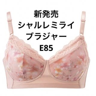 シャルレ(シャルレ)の新発売　シャルレミライ　ブラジャー　E85(その他)