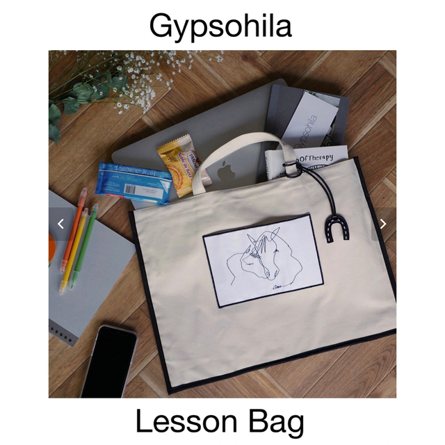 【新品＊未開封】Gypsohila ＊ Lesson Bag