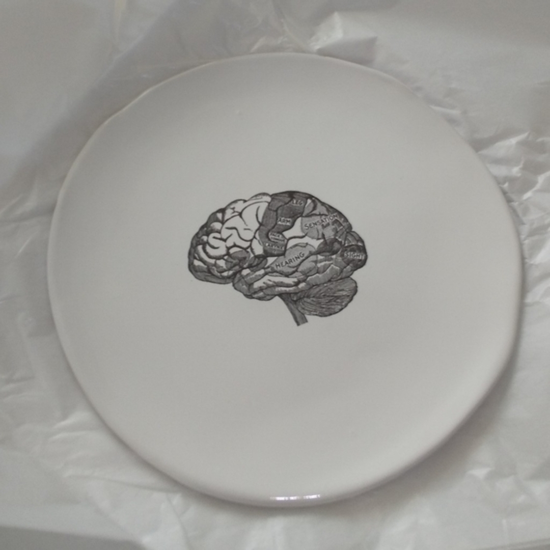 Kuhn Keramikクーンケラミック 皿 プレート Brain 脳 | フリマアプリ ラクマ