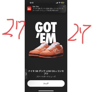 ナイキ(NIKE)のNIKE SB DUNK LOW × Concepts 27cm(スニーカー)