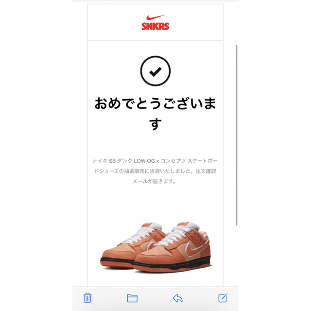 NIKE(ナイキ)の【26.5】ナイキ SB ダンク LOW × concepts 26.5 メンズの靴/シューズ(スニーカー)の商品写真