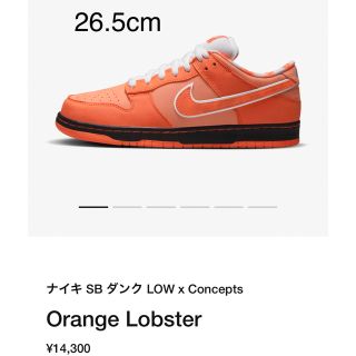 ナイキ(NIKE)の【26.5】ナイキ SB ダンク LOW × concepts 26.5(スニーカー)