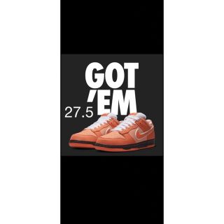 ナイキ(NIKE)のNike SB Dunk Low SP Orange Lobster 27.5 (スニーカー)