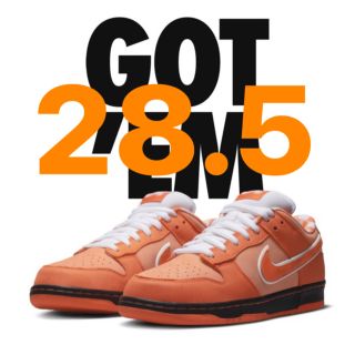 ナイキ(NIKE)のNike SB Dunk Low SP Orange Lobster (スニーカー)