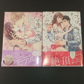 なぞるように、甘い手ほどき。～元カレ（官能小説家）は私を抱かずに愛す～(その他)