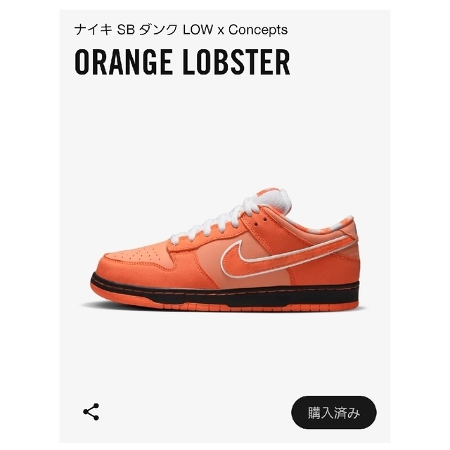 NIKE(ナイキ)のNIKE Dunk SB × Concepts “Orange Lobster” メンズの靴/シューズ(スニーカー)の商品写真