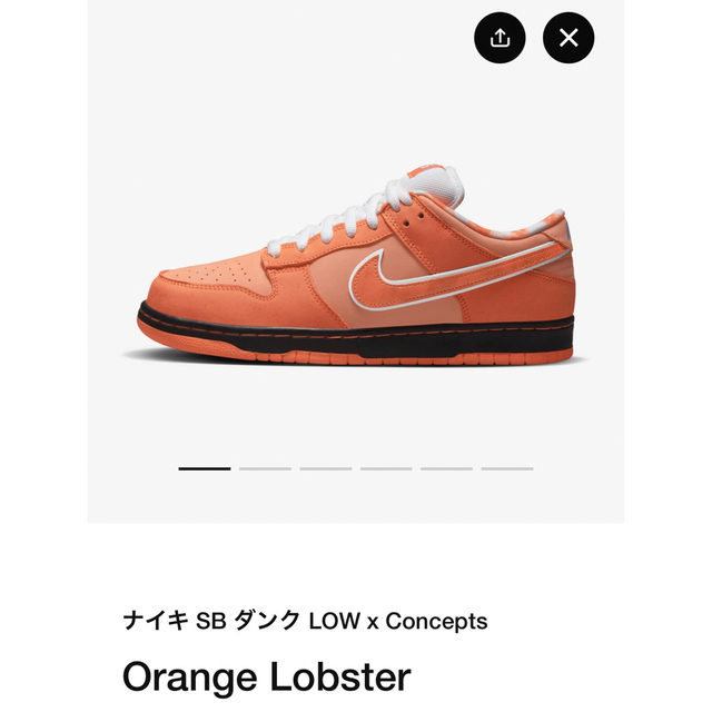 NIKE(ナイキ)のNIKESB DUNK LOW × Concepts OrangeLobster メンズの靴/シューズ(スニーカー)の商品写真