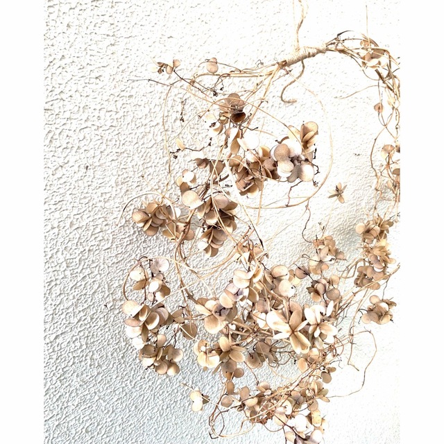 山芋の花殻のリース　ドライ素材 ハンドメイドのフラワー/ガーデン(ドライフラワー)の商品写真