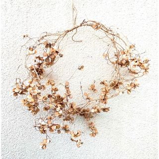 山芋の花殻のリース　ドライ素材(ドライフラワー)