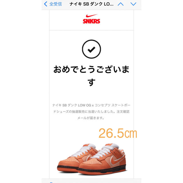 NIKE オレンジロブスター　コンセプツ×ナイキ　ダンク