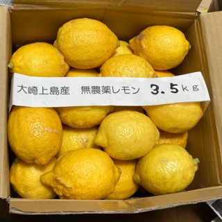 広島県大崎上島産無農薬レモン　3.5kg(フルーツ)