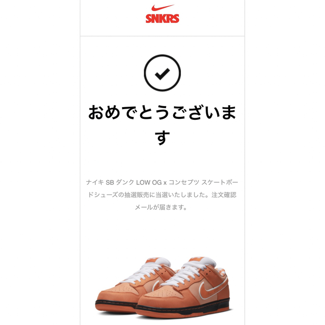 NIKE(ナイキ)の【26cm】Concepts×Nike SB Dunk Low SP メンズの靴/シューズ(スニーカー)の商品写真