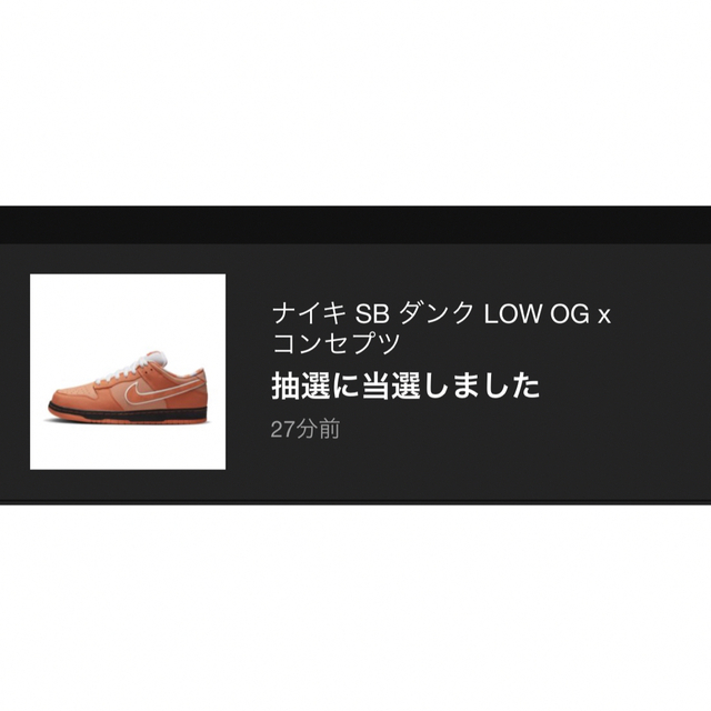 NIKE(ナイキ)のナイキ　SBダンクLOW×コンセプツ　オレンジロブスター メンズの靴/シューズ(スニーカー)の商品写真