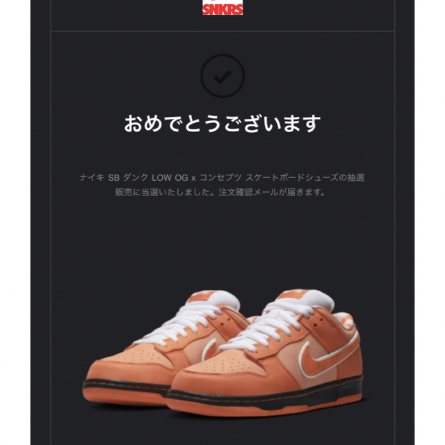 NIKE(ナイキ)のNike SB Dunk Low SP Orange Lobster 27.5  メンズの靴/シューズ(スニーカー)の商品写真