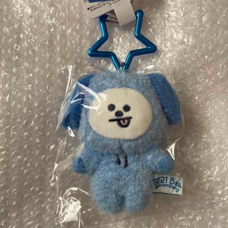 ビーティーイシビル(BT21)のalomi様専用(アイドルグッズ)